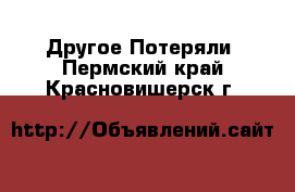 Другое Потеряли. Пермский край,Красновишерск г.